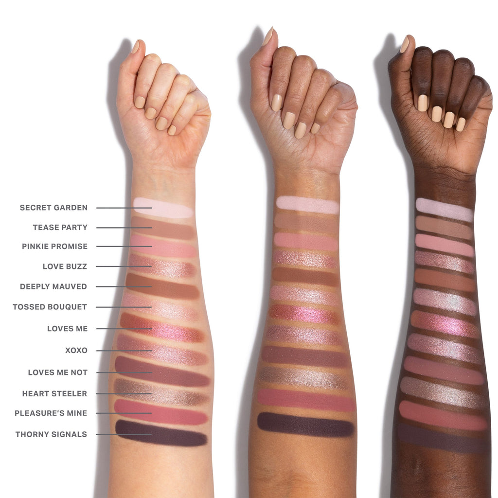 ChromaPlus 12-Pan Eyeshadow Palette