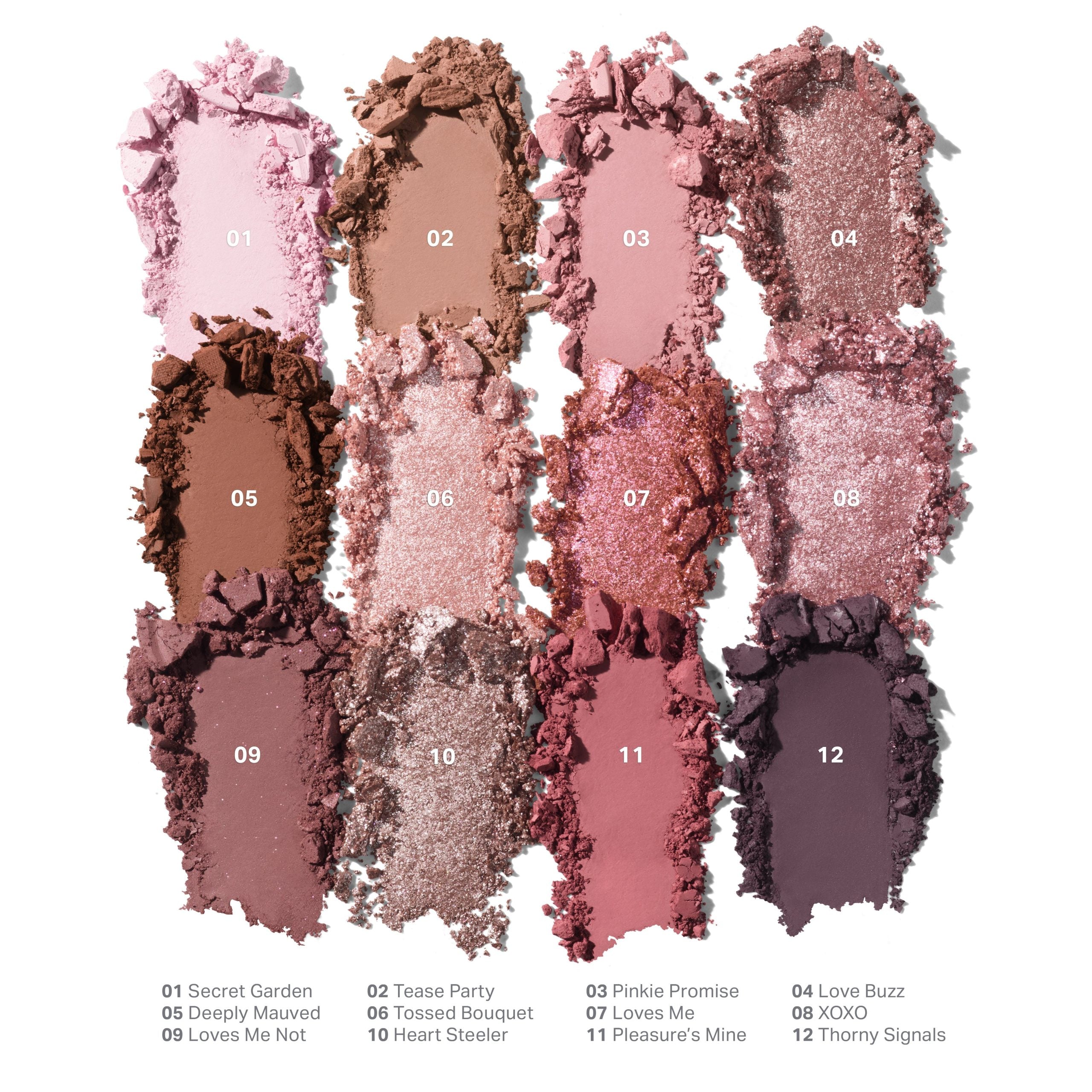 ChromaPlus 12-Pan Eyeshadow Palette